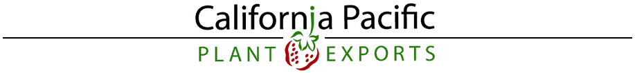 california pacific plant exports - specializing in strawberry plants